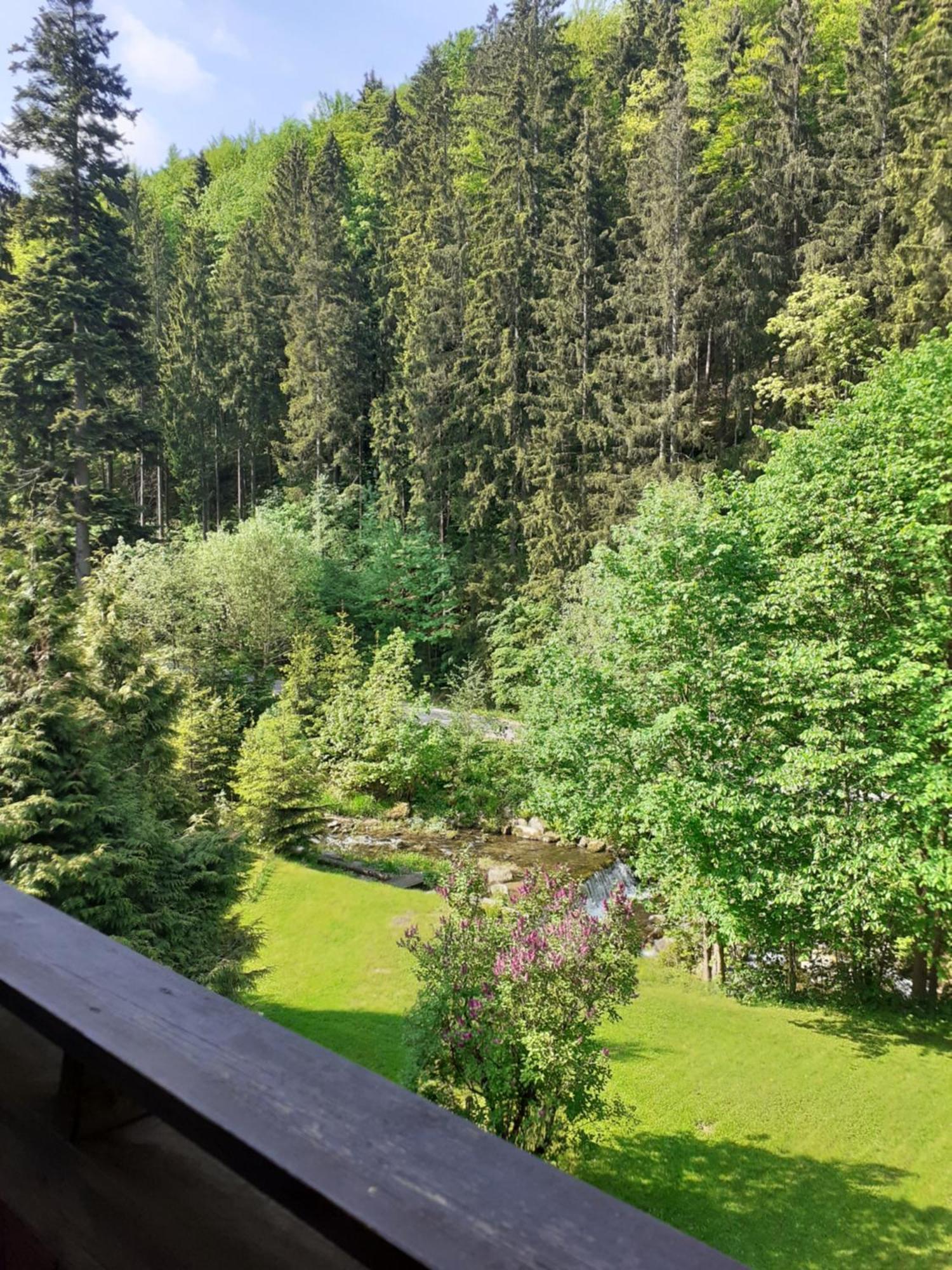 Apartamenty Kaskada Miedzygorze Cameră foto