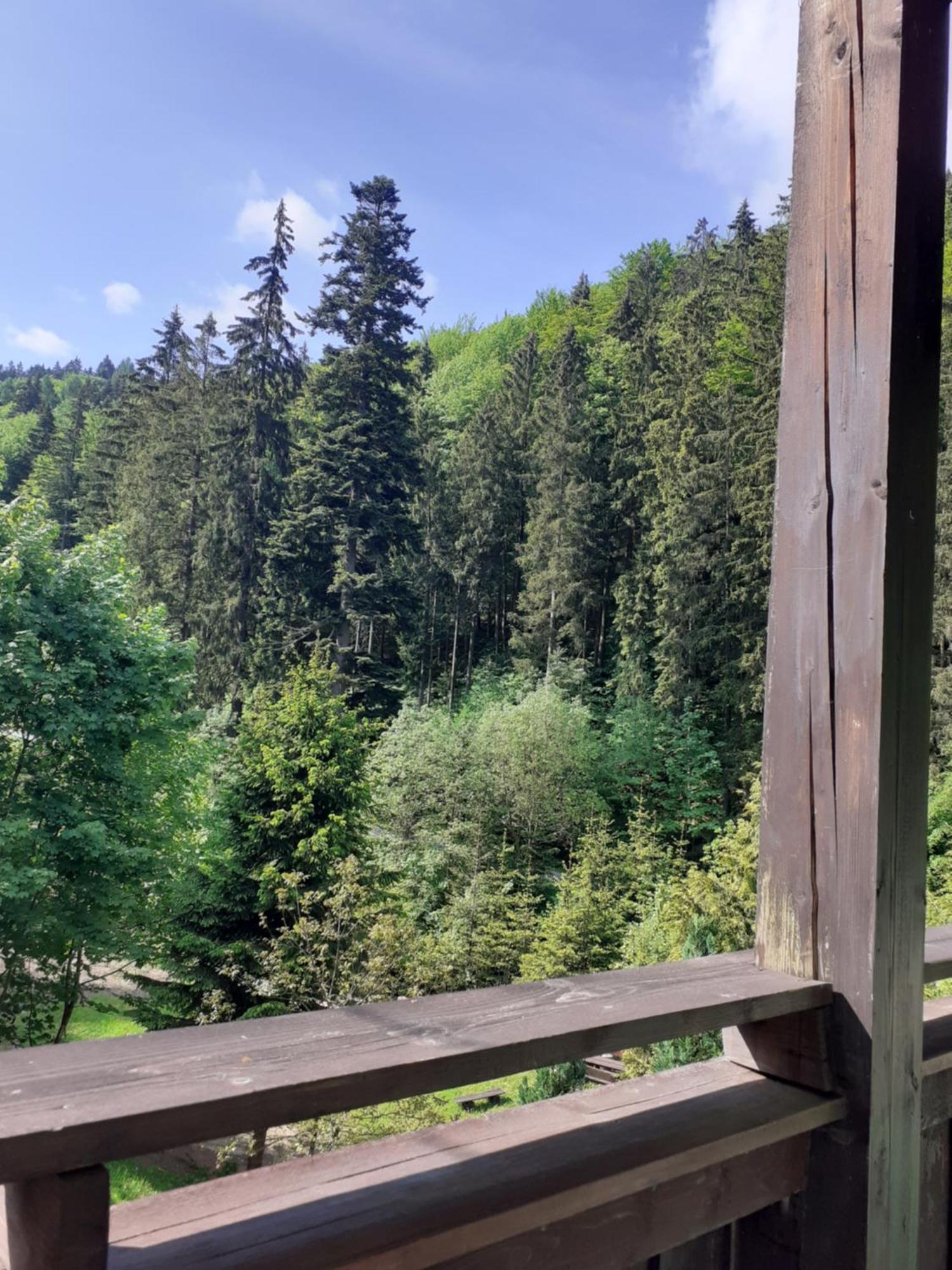 Apartamenty Kaskada Miedzygorze Cameră foto