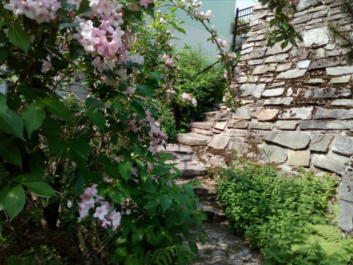 Apartamenty Kaskada Miedzygorze Exterior foto
